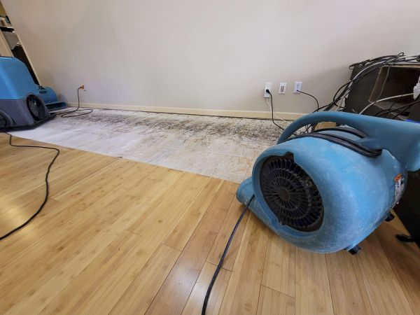 Cost of Water Damage Mitigation in Antioch